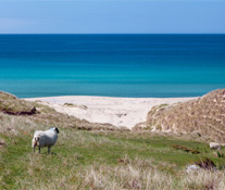 One of the Sandy Beaches