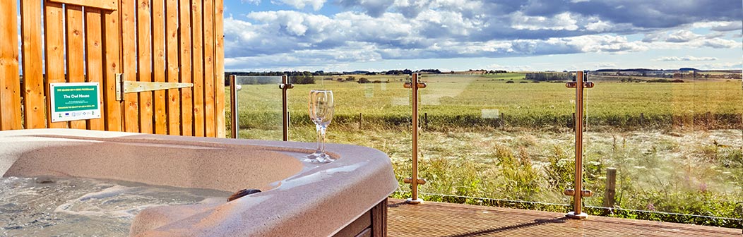 The Owl House The Owl House