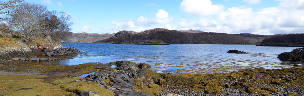 Loch Shieldaig (bottom of the garden)