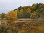 Insh Marshes Nature Reserve