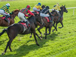 Kelso Races Kelso Races