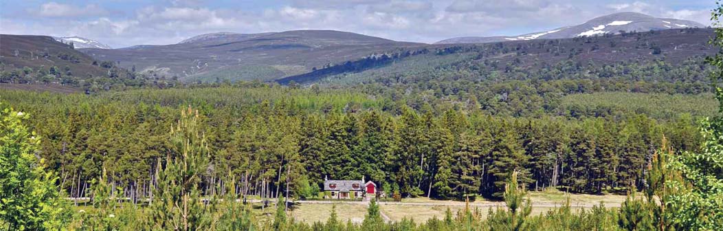 Linn Cottage Braemar Linn Cottage Braemar