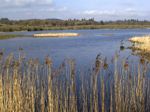 RSPB Loch Kinnordy