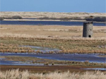 RSPB Loch Strathbeg