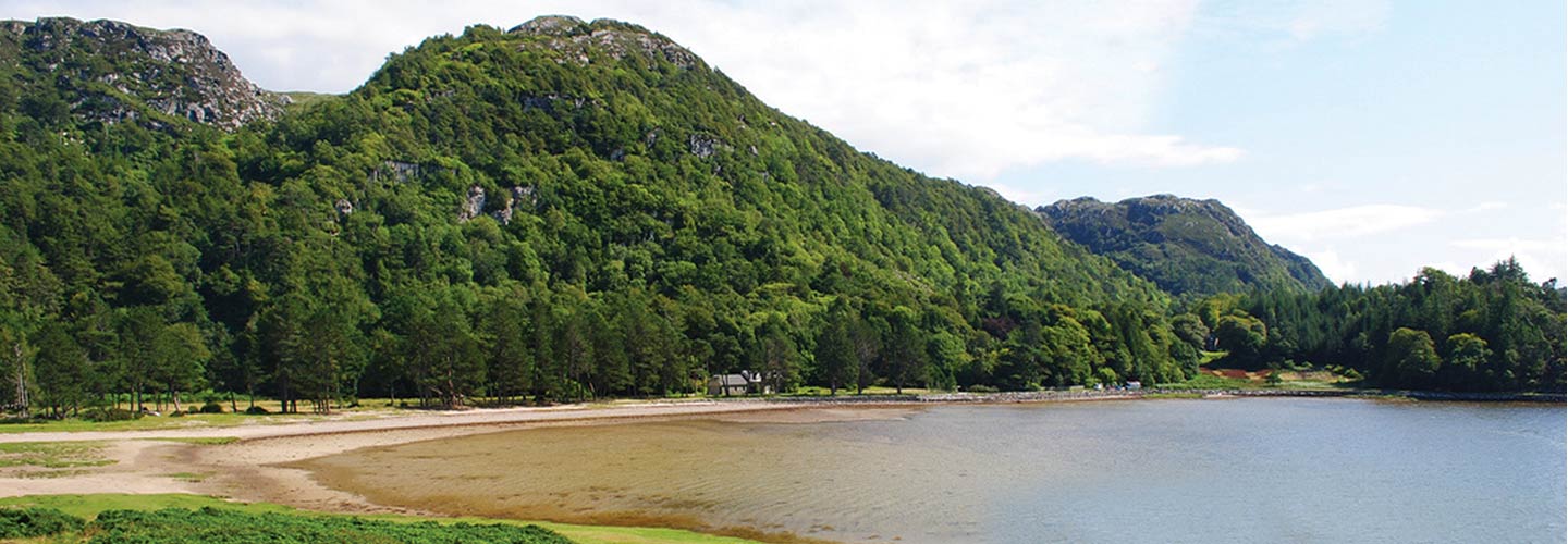 lochshiel-estate-banner.jpg lochshiel-estate-banner.jpg