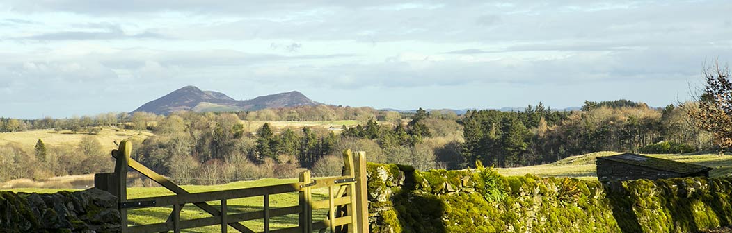 Whitmuir Estate Whitmuir Estate