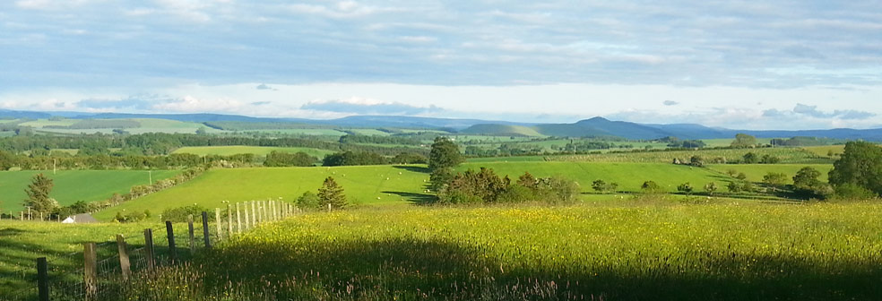 View over West Cottage to Minto Hills and Cheviots View over West Cottage to Minto Hills and Cheviots