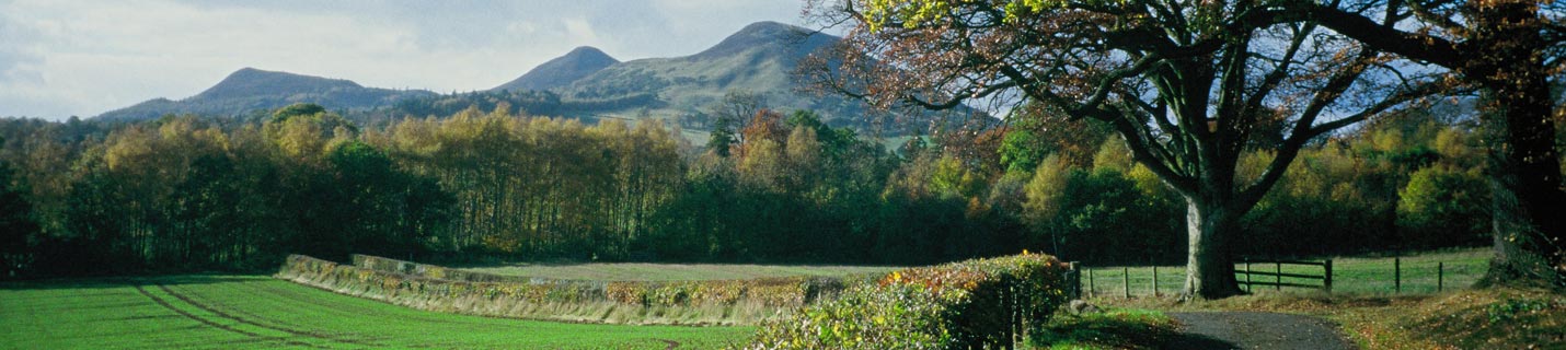 old-melrose-estate-discover.jpg old-melrose-estate-discover.jpg