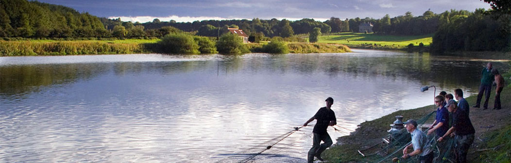 River Tweed Paxton House