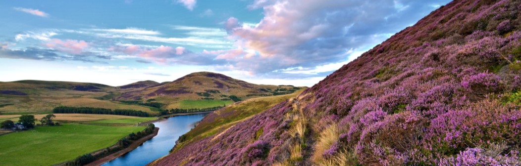 Pentland Hills