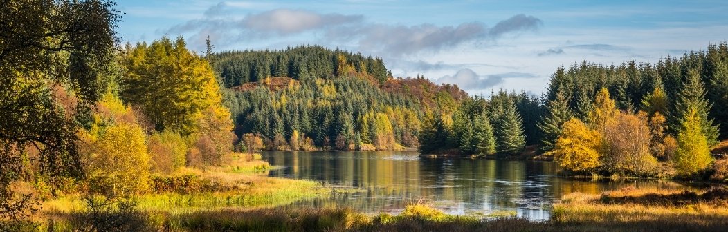queen elizabeth forest park.jpg