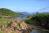 Shoreline of Sound of Mull