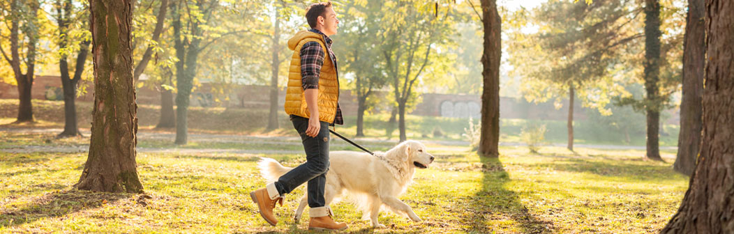 special-offers-man-walking-dog-banner.jpg