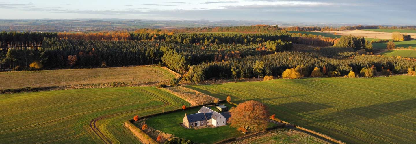 Springfield Cottage Springfield Cottage