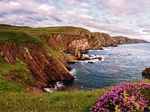 St Abbs Nature Reserve