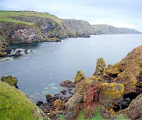 St Abbs Head