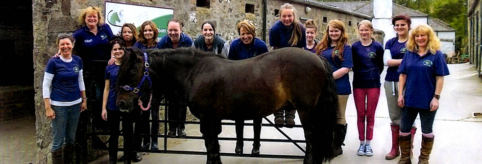 stable-life-banner.jpg stable-life-banner.jpg