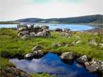 Taynish Nature Reserve