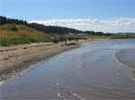 Tentsmuir Nature Reserve