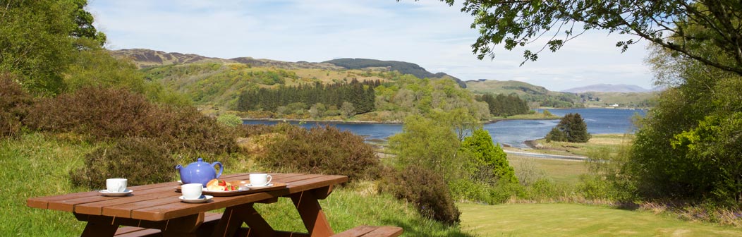 View from garden View from garden