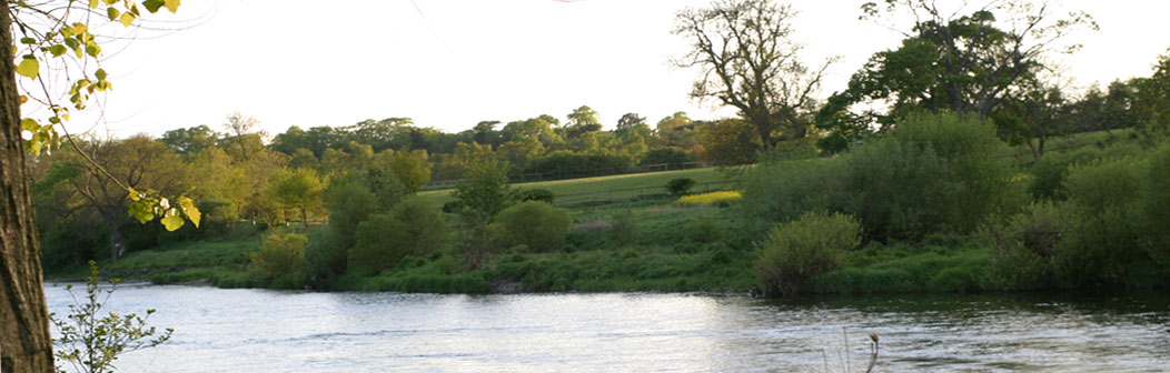 River Tweed River Tweed