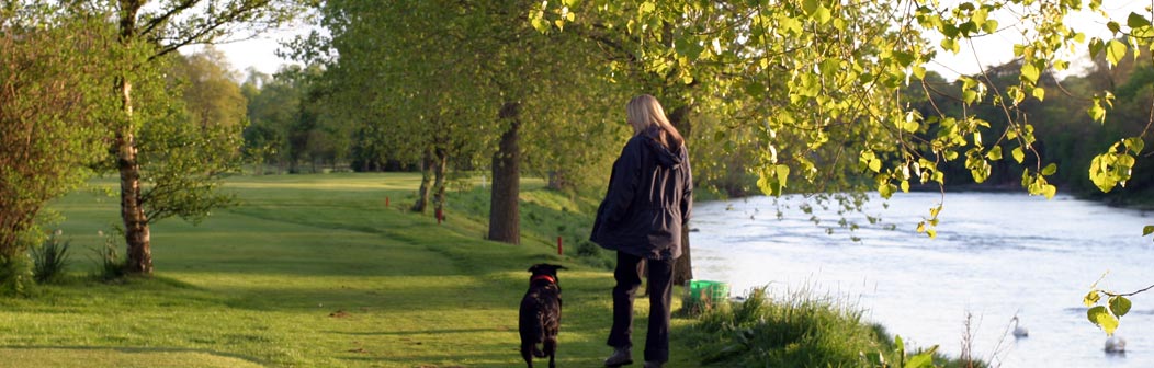 River Tweed River Tweed