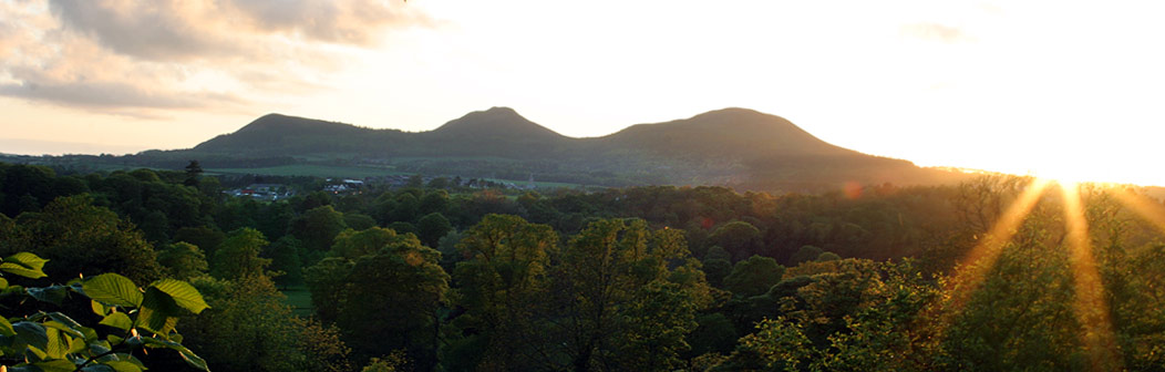 View to Eildon Hills View to Eildon Hills
