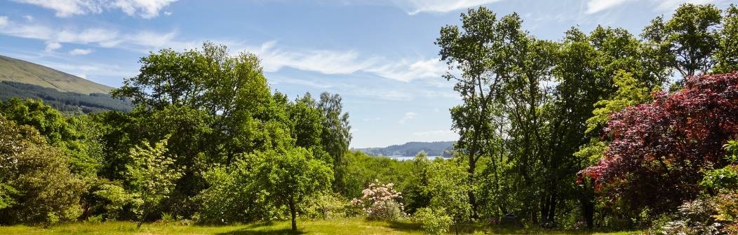 View from Blairuskin Lodge View from Blairuskin Lodge