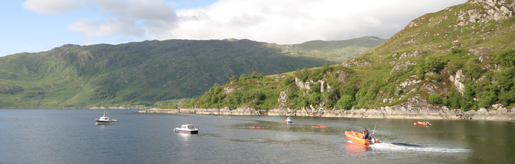 The Wee House The Wee House