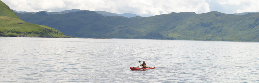 The Wee House The Wee House