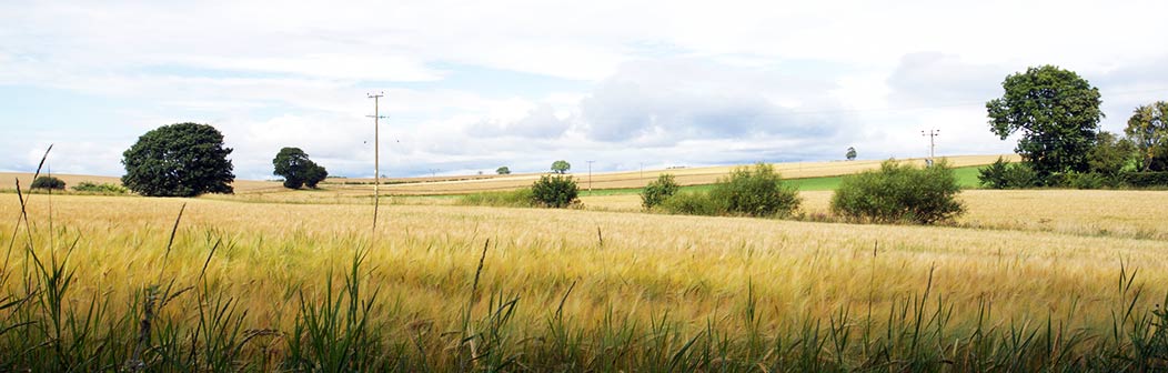 Wester Dun Cottage Wester Dun Cottage