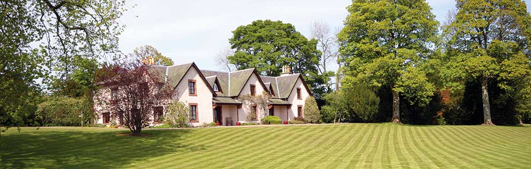 whitmuir_banner.jpg whitmuir_banner.jpg