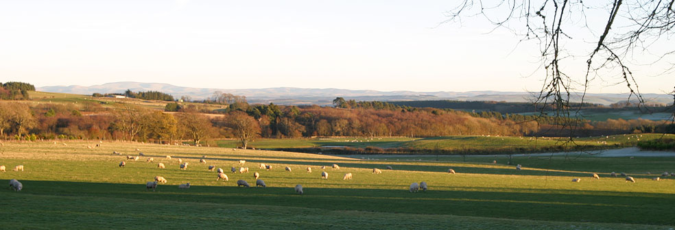 Whitmuir Estate