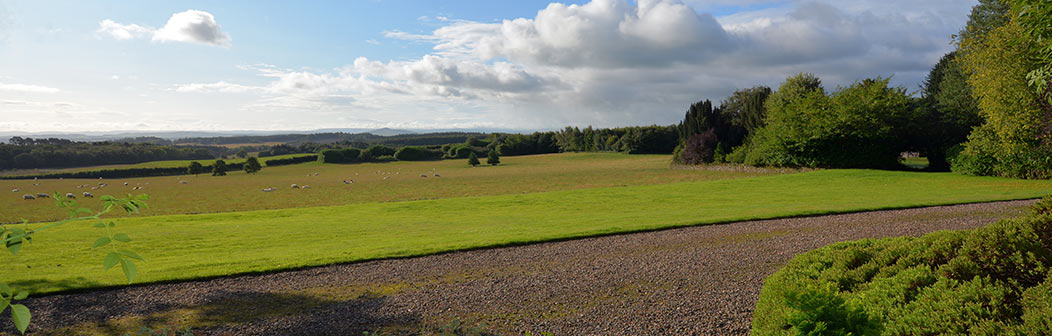 View from Whitmuir House View from Whitmuir House