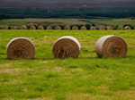 Wilsons Farm and Kitchen Wilsons Farm and Kitchen