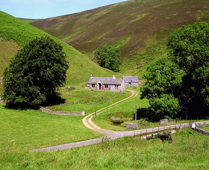 Windgill Cottage