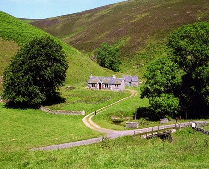 Windgill Cottage Windgill Cottage
